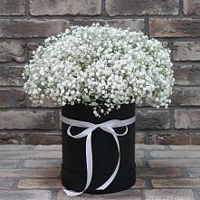 Цветочная композиция из Гипсофила в шляпной коробке в Космодемьянский